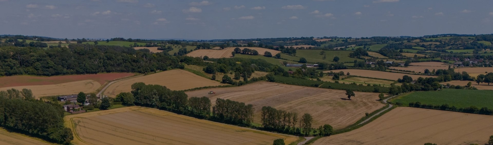 AF Group Farm
